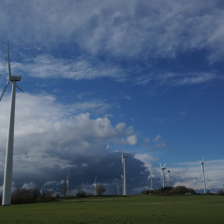 05 Engelrod DSC03081 2.jpg